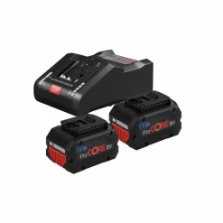 Bosch Akku Starter-Set, 2 Akku 18 Volt 8.0 Ah,Ladegerät GAL 18V-160 C 1600A016GP